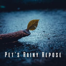 Pet's Rainy Repose: Soothing Pink Noise for Pet Calmness - Soporific Pink Noise