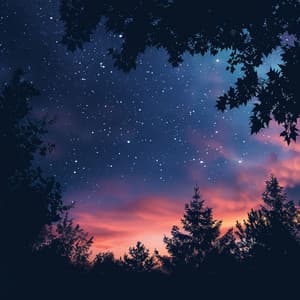 Evening Tunes: Music for Winding Down - Solitude Beats