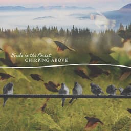 Chirping Above - Birds In The Forest