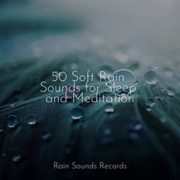 50 Soft Rain Sounds for Sleep and Meditation - Musica Relajante