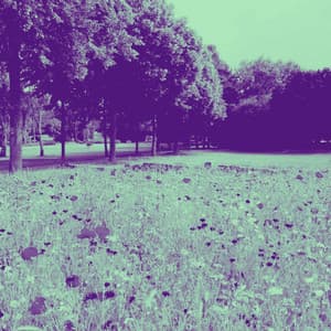 Acoustic and Electric Piano Jazz Duo - Bgm for Music Reflection - Musique pour Dormir