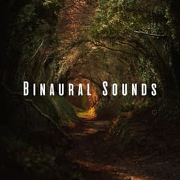 Binaural Sounds: Nature Beats for Stress-free Study Sessions - Nature & Sounds Backgrounds