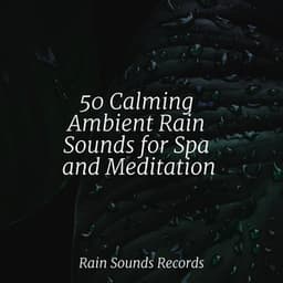50 Calming Ambient Rain Sounds for Spa and Meditation - Ambient
