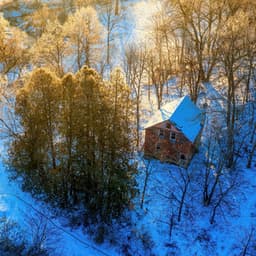 365 Feels: Daily Dose - Lofi Chill