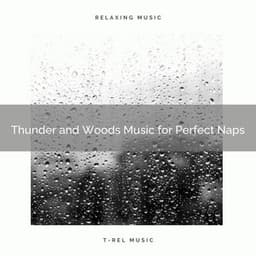 Thunder and Woods Music for Perfect Naps - Calm Rain for Sleep