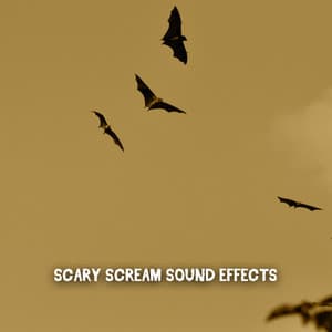 Scary Scream Sound Effects - Spooky Halloween Sounds