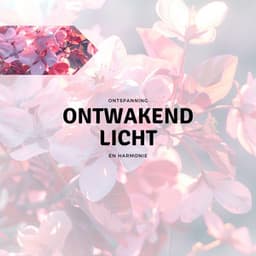 Ontwakend Licht - Ontspanning en Harmonie