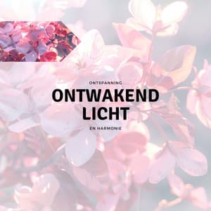 Ontwakend Licht - Ontspanning en Harmonie