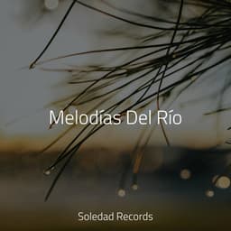 Melodías Del Río - Yoga Para Ninos