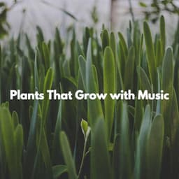 Plants That Grow with Music - Dreamtime Music