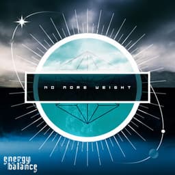 No More Weight - energybalance