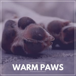 Warm Paws - Calming for Dogs