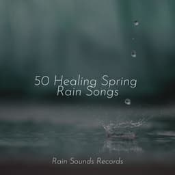 50 Healing Spring Rain Songs - Sons da natureza HD