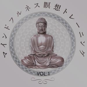 マインドフルネス瞑想トレーニングvol.1: 心を落ち着かせる音楽, リラクゼーションヨガ, チャクラ, レイキヒーリング - 治療の音楽コレクションを癒し