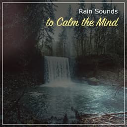 20 Chilled Rain Storms for Calm Inside - Sounds Of Rain & Thunder Storms
