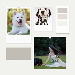 Music for Doggy Dreams - Dogs at Home