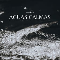 Sonidos De Aguas Calmas - Agua Mantra