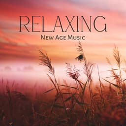 Relaxing New Age Music - Eco Lyli