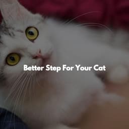 Better Step For Your Cat - Sunday Morning Jazz Lounge