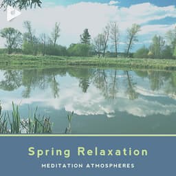 Spring Relaxation - Meditation Relaxation Club