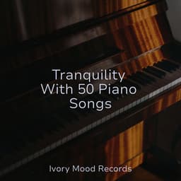 Tranquility With 50 Piano Songs - Musica para Meditar