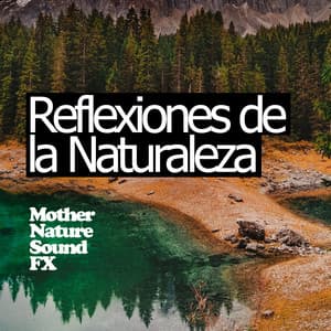 Reflexiones de la Naturaleza - Música de la Naturaleza