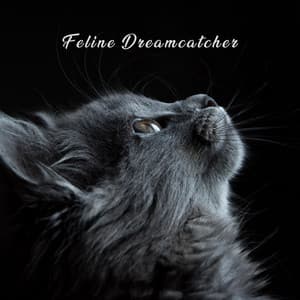 Feline Dreamcatcher - Cat Music