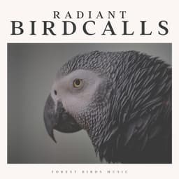 Radiant Birdcalls - Life Sounds Nature