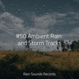 #50 Ambient Rain and Storm Tracks - Sonidos De Truenos y Lluvia