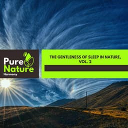 The Gentleness of Sleep in Nature, Vol. 2 - Nature Field Recordings