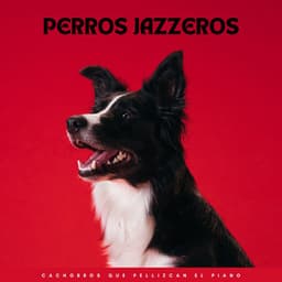 Perros Jazzeros: Cachorros Que Pellizcan El Piano - Romance de jazz suave