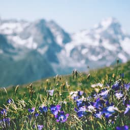 Yoga & Meditation - Uyku Müzik