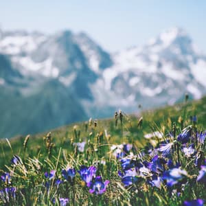 Yoga & Meditation - Uyku Müzik