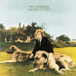 Veedon Fleece - Van Morrison