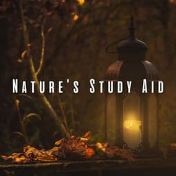 Nature's Study Aid: Ambient Music for Optimal Learning - Nature Music Nature Songs