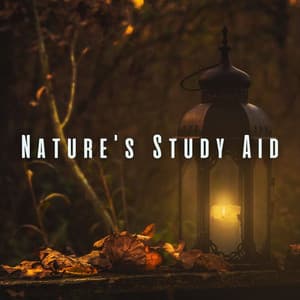 Nature's Study Aid: Ambient Music for Optimal Learning - Nature Music Nature Songs