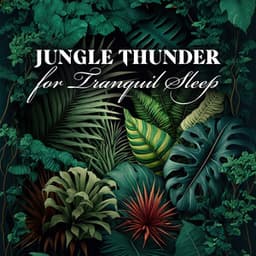 Jungle Thunder for Tranquil Sleep - Tropical Rain for Meditation, Mindfulness and Relaxation - Johnny Rainer