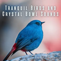 Tranquil Birds and Crystal Bowl Sounds - Sunday Evening Music
