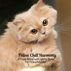 Elevated Feline Chill Harmony: A Piano Blend with White Noise for Peaceful Cats - Soothing White Noise