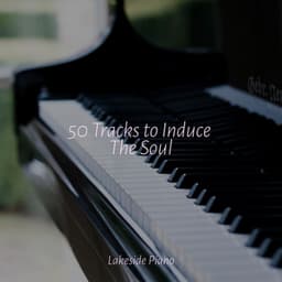 50 Tracks to Induce The Soul - Deep Sleep Relaxation