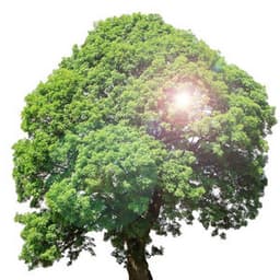 Comfortable Psychological Stability Meditation Music Collection for Meditation time and Comfort - Piano Meditation Music