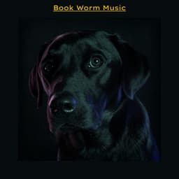 Book Worm Music - Calm Music for Studying