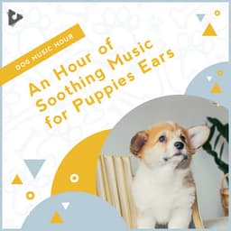 An Hour of Soothing Music for Puppies Ears - Dog Music Hour