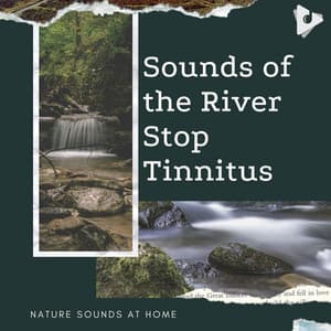 Sounds of the River Stop Tinnitus - Nature Sounds At Home