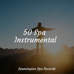 50 Spa Instrumentals - Entspannungsmusik
