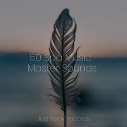 50 Spa Music Master Sounds - Spa & Spa