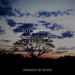 50 Canciones Terapéuticas Para Meditar - Musica Relajante