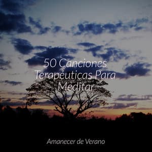 50 Canciones Terapéuticas Para Meditar - Musica Relajante