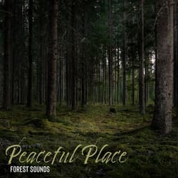 Peaceful Place - Amanda Soho