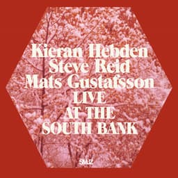 Live at the South Bank - Kieran Hebden